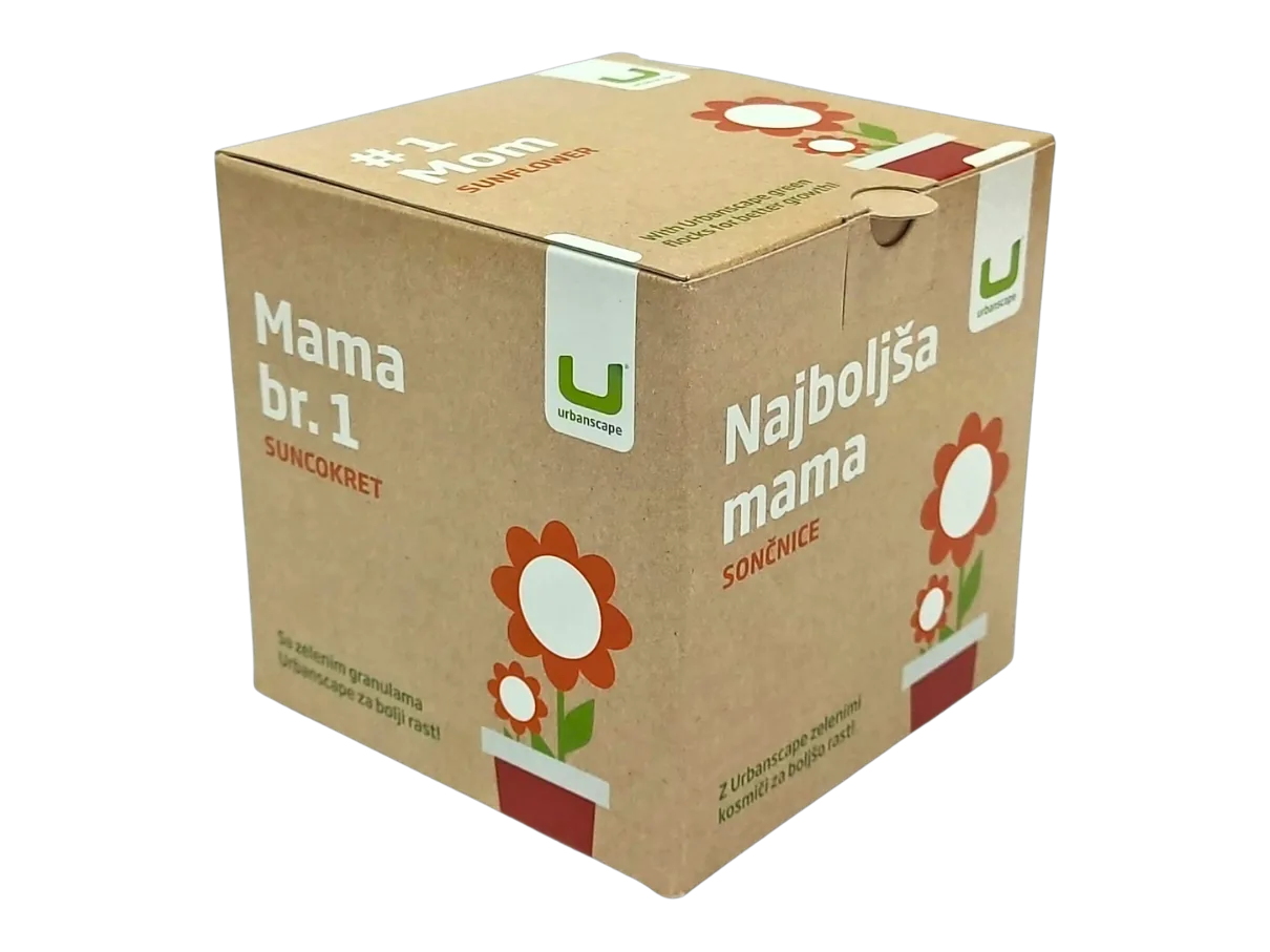 Potiskana kraft kartonska škatla